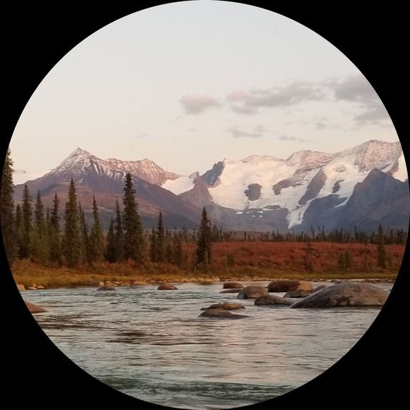 searchforever36